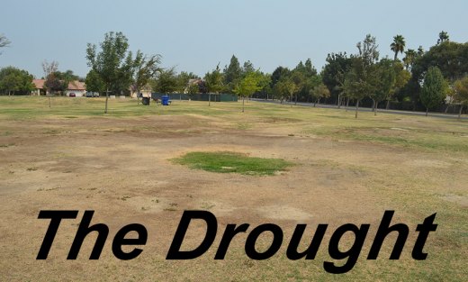 Lemoore residents rack up over $8,000 in water conservation fines Lemoore residents rack up over $8,000 in water conservation fines
